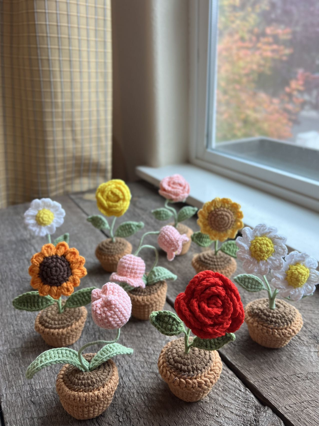 Crochet flowers pot, birthday gift, Christmas, daisy, sunflower, home decor, handmade gift, Finished Product