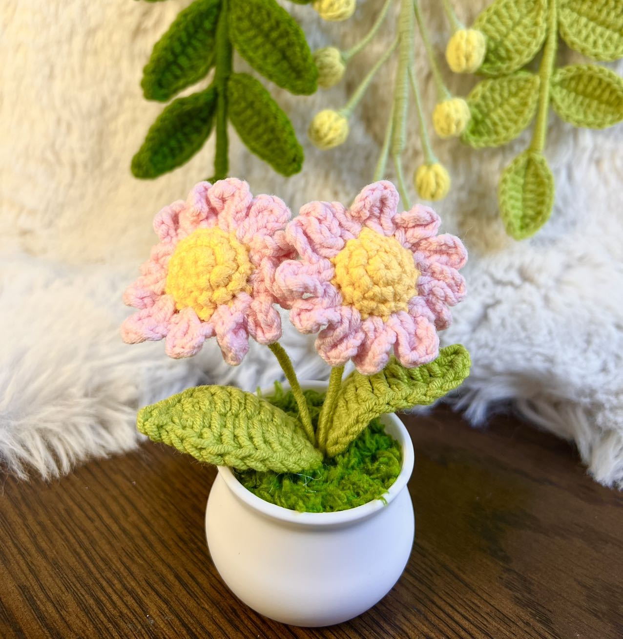 Crochet daisy flower pot, One of a kind gifts