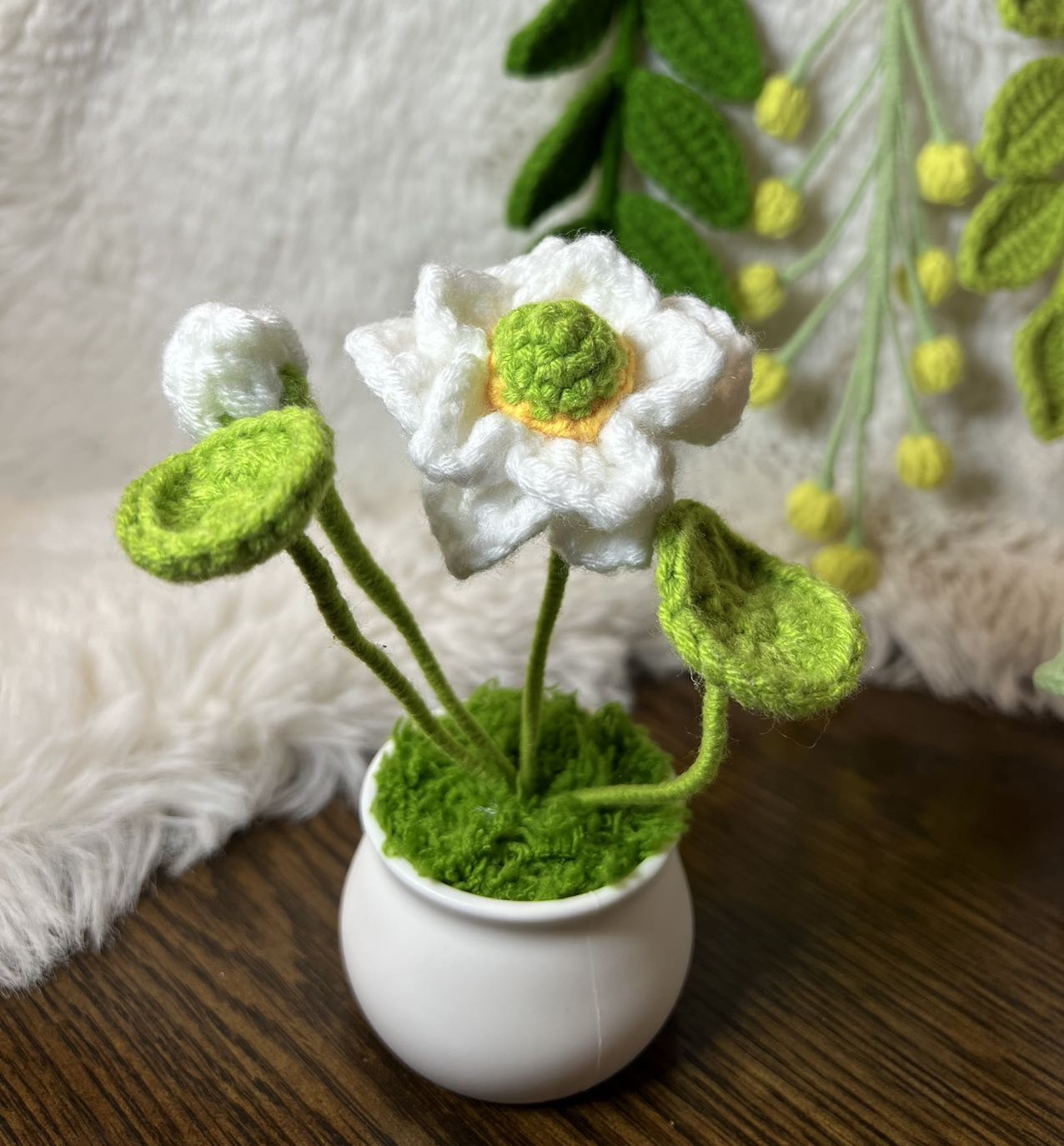 Crochet flower pot, handmade gift, gift for her, gift for teacher/friend,home decor