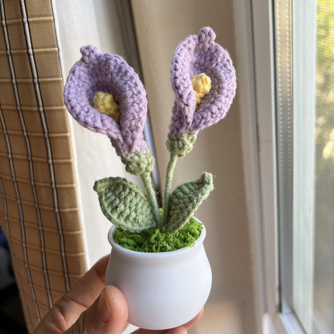 Crochet flower pot, handmade gift, gift for her, gift for teacher/friend,home decor