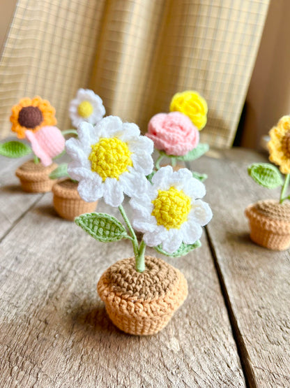 Crochet flowers pot,  birthday gift, Christmas, daisy, sunflower, home decor, handmade gift,  Finished Product