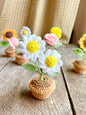 Crochet flowers pot,  birthday gift, Christmas, daisy, sunflower, home decor, handmade gift,  Finished Product