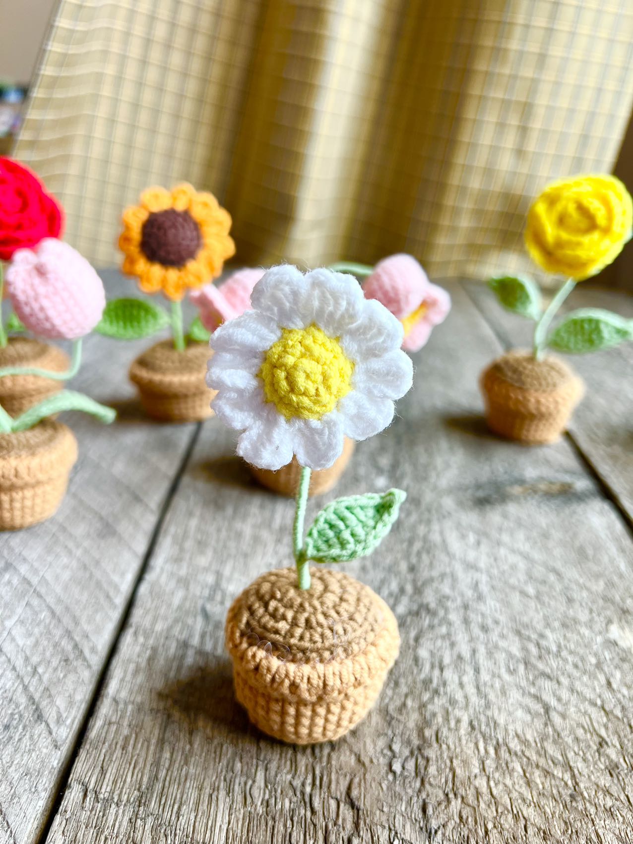 Crochet flowers pot,  birthday gift, Christmas, daisy, sunflower, home decor, handmade gift,  Finished Product