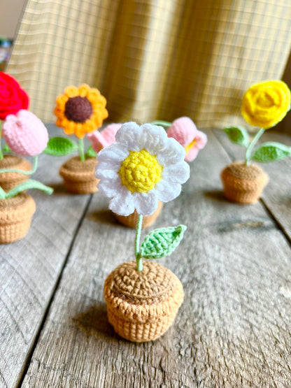 Crochet flowers pot,  birthday gift, Christmas, daisy, sunflower, home decor, handmade gift,  Finished Product