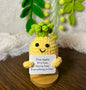 Unique Handmade Crochet positive carrot +Emotional Support pineapple, avocado, Christmas, Birthday, Mom,gift for her,Coworker,Family/Friends
