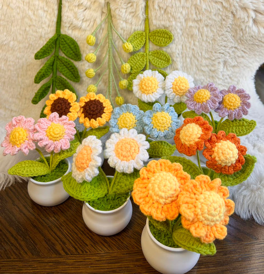 Crochet flower pot, daisy, One of a kind gifts