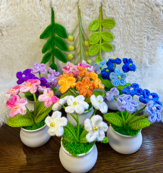 Crochet flower pot, handmade gift, gift for her, gift for teacher/friend,home decor