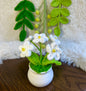 Crochet flower pot, handmade gift, gift for her, gift for teacher/friend,home decor