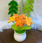 Crochet flower pot, handmade gift, gift for her, gift for teacher/friend,home decor