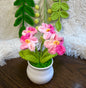 Crochet flower pot, handmade gift, gift for her, gift for teacher/friend,home decor