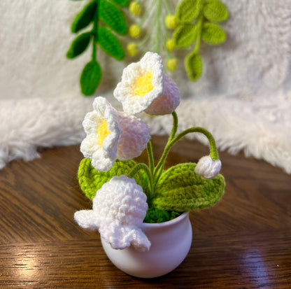 Crochet flower pot, handmade gift, gift for her, gift for teacher/friend,home decor