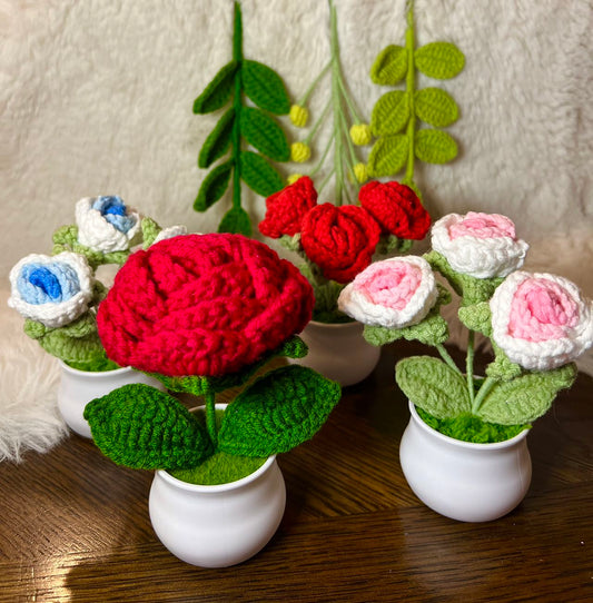 Crochet flower pot, handmade gift, gift for her, gift for teacher/friend,home decor