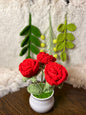 Crochet flower pot, handmade gift, gift for her, gift for teacher/friend,home decor