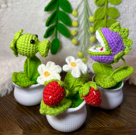 Crochet flower pot, handmade gift, gift for her, gift for teacher/friend,home decor