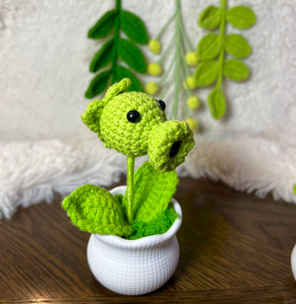 Crochet flower pot, handmade gift, gift for her, gift for teacher/friend,home decor