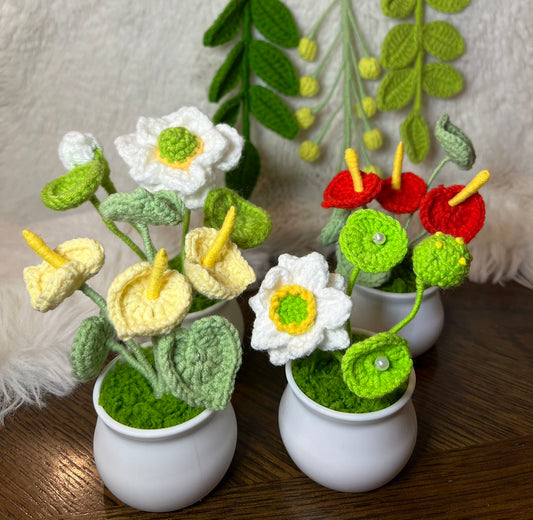 Crochet flower pot, handmade gift, gift for her, gift for teacher/friend,home decor