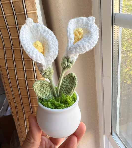 Crochet flower pot, handmade gift, gift for her, gift for teacher/friend,home decor