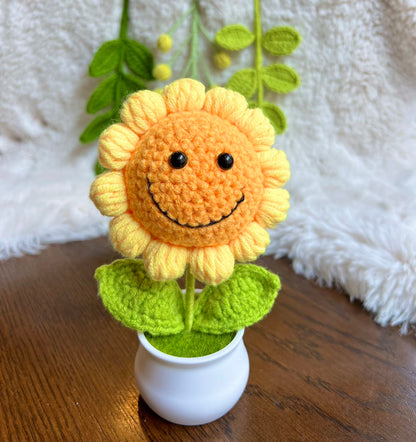 Handmade Crochet mini Caring vegie,sunflower,Christmas gift,Birthday,gift for her, mom,Positive Affirmation gift for Family/Friends,coworker
