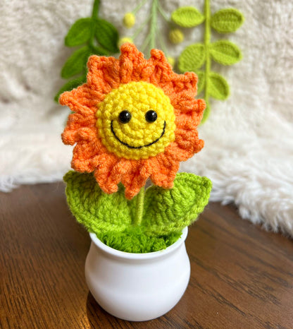 Handmade Crochet mini Caring vegie,sunflower,Christmas gift,Birthday,gift for her, mom,Positive Affirmation gift for Family/Friends,coworker