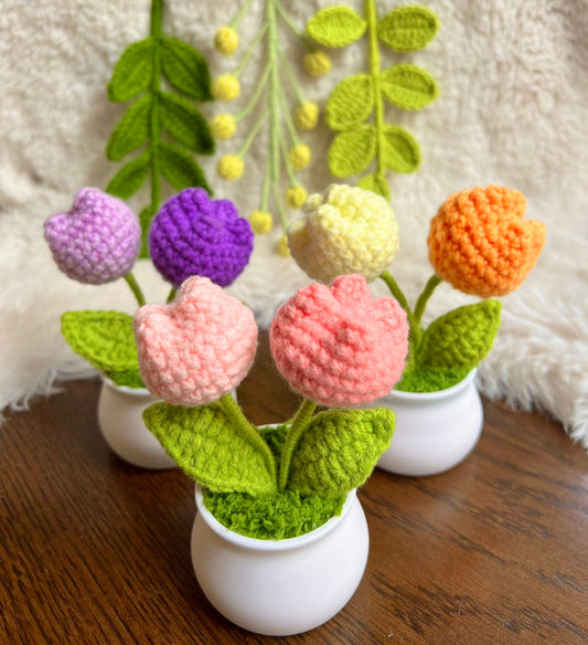 Crochet flower pot, handmade gift, gift for her, gift for teacher/friend,home decor