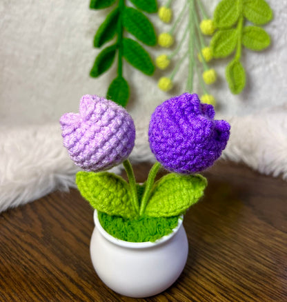 Crochet flower pot, handmade gift, gift for her, gift for teacher/friend,home decor