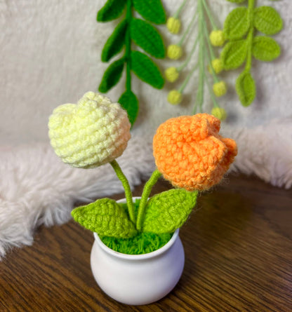 Crochet flower pot, handmade gift, gift for her, gift for teacher/friend,home decor
