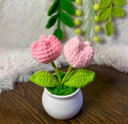 Crochet flower pot, handmade gift, gift for her, gift for teacher/friend,home decor