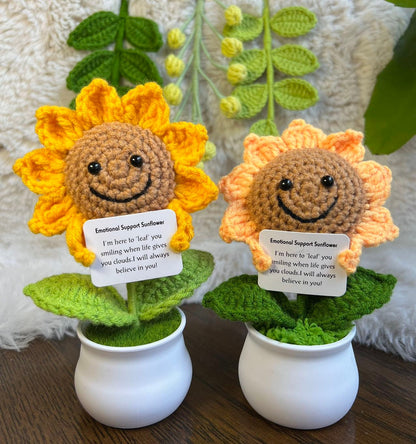 Handmade Crochet mini Caring vegie,Emotional Support sunflower, potato, Positive Affirmation gift for Family/Friends,coworker,Mothers Day