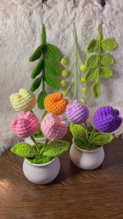 Crochet flower pot, handmade gift, gift for her, gift for teacher/friend,home decor