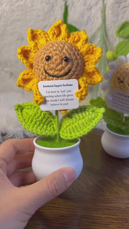 Handmade Crochet mini Caring vegie,Emotional Support sunflower, potato, Positive Affirmation gift for Family/Friends,coworker,Mothers Day