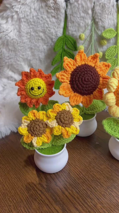 Handmade Crochet mini Caring vegie,sunflower,Christmas gift,Birthday,gift for her, mom,Positive Affirmation gift for Family/Friends,coworker